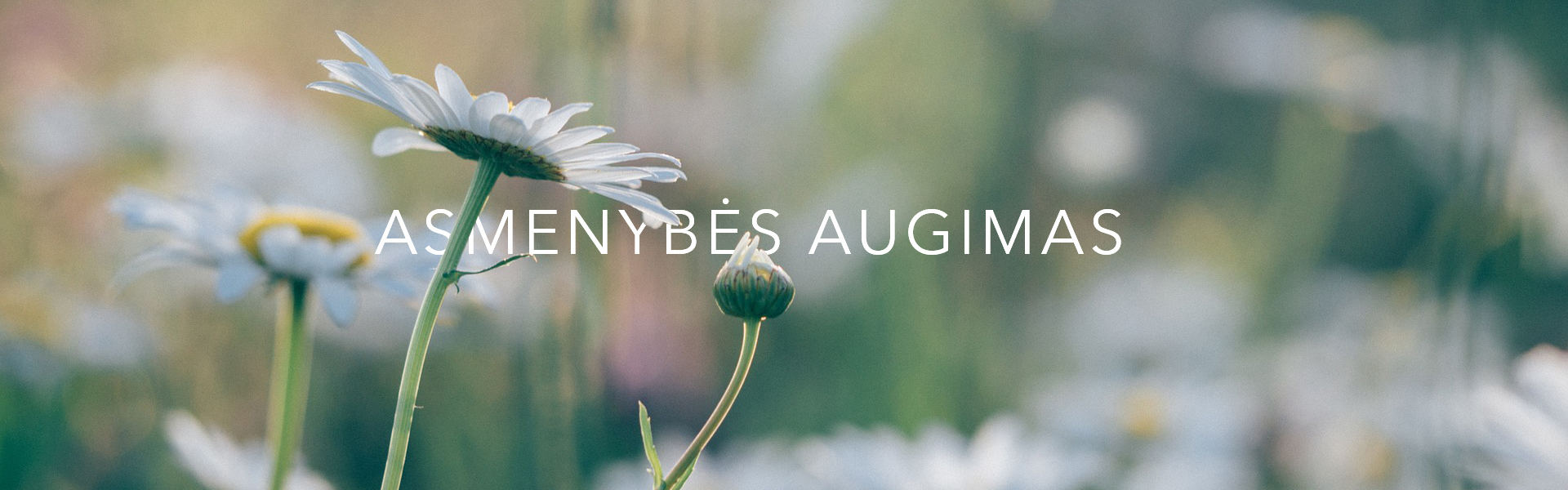 ASMENYBĖS AUGMAS