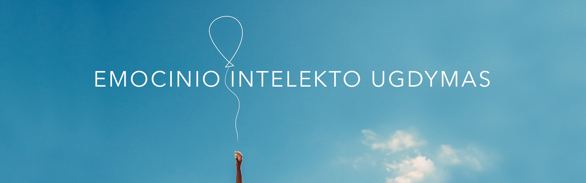 EMOCINIS INTELEKTAS2
